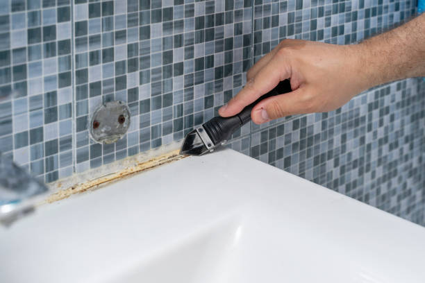 Reliable North Puyallup, WA Mold Remediation Solutions