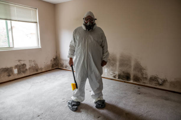 Best Mold Remediation for Schools in North Puyallup, WA